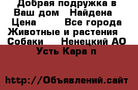 Добрая подружка,в Ваш дом!!!Найдена › Цена ­ 10 - Все города Животные и растения » Собаки   . Ненецкий АО,Усть-Кара п.